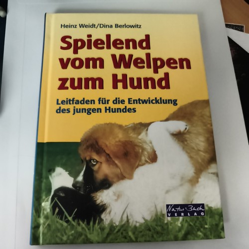 Spielend vom welpen zum hund - zum,